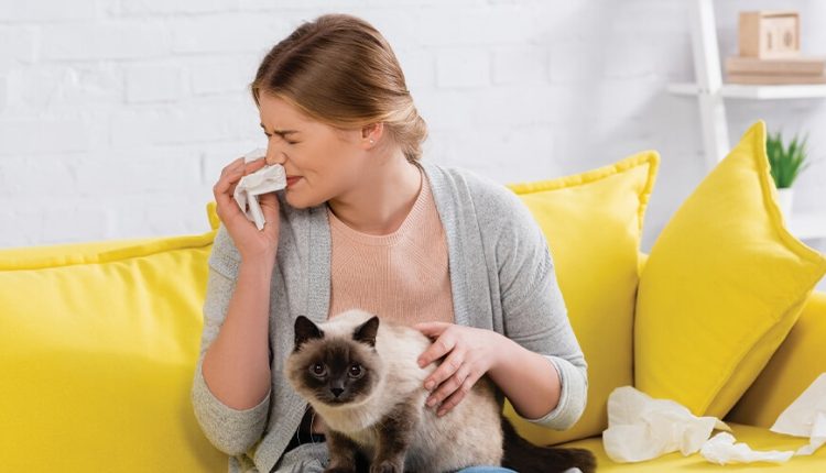 Kedi Alerjisi