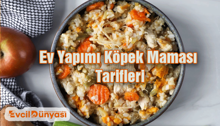 Ev Yapımı Köpek Maması Tarifleri ve Sağlıklı Beslenme İpuçları