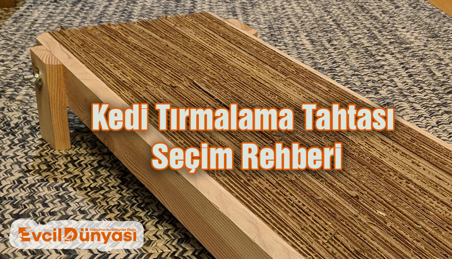 kedi tirmalama tahtasi secimi